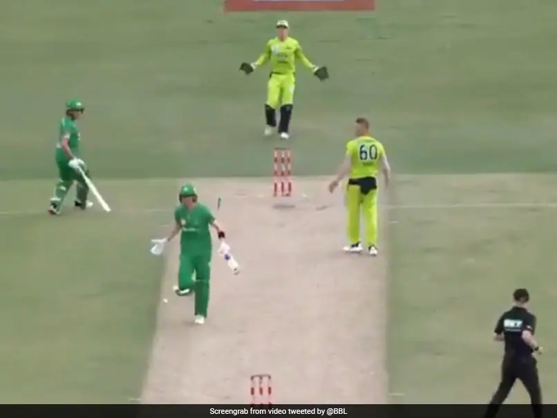 Melbourne Stars vs Sydney Thunder: Batsman Tries To Steal Quick Single With Ball Stuck Inside His Jersey In BBL 2020. Watch | Cricket News