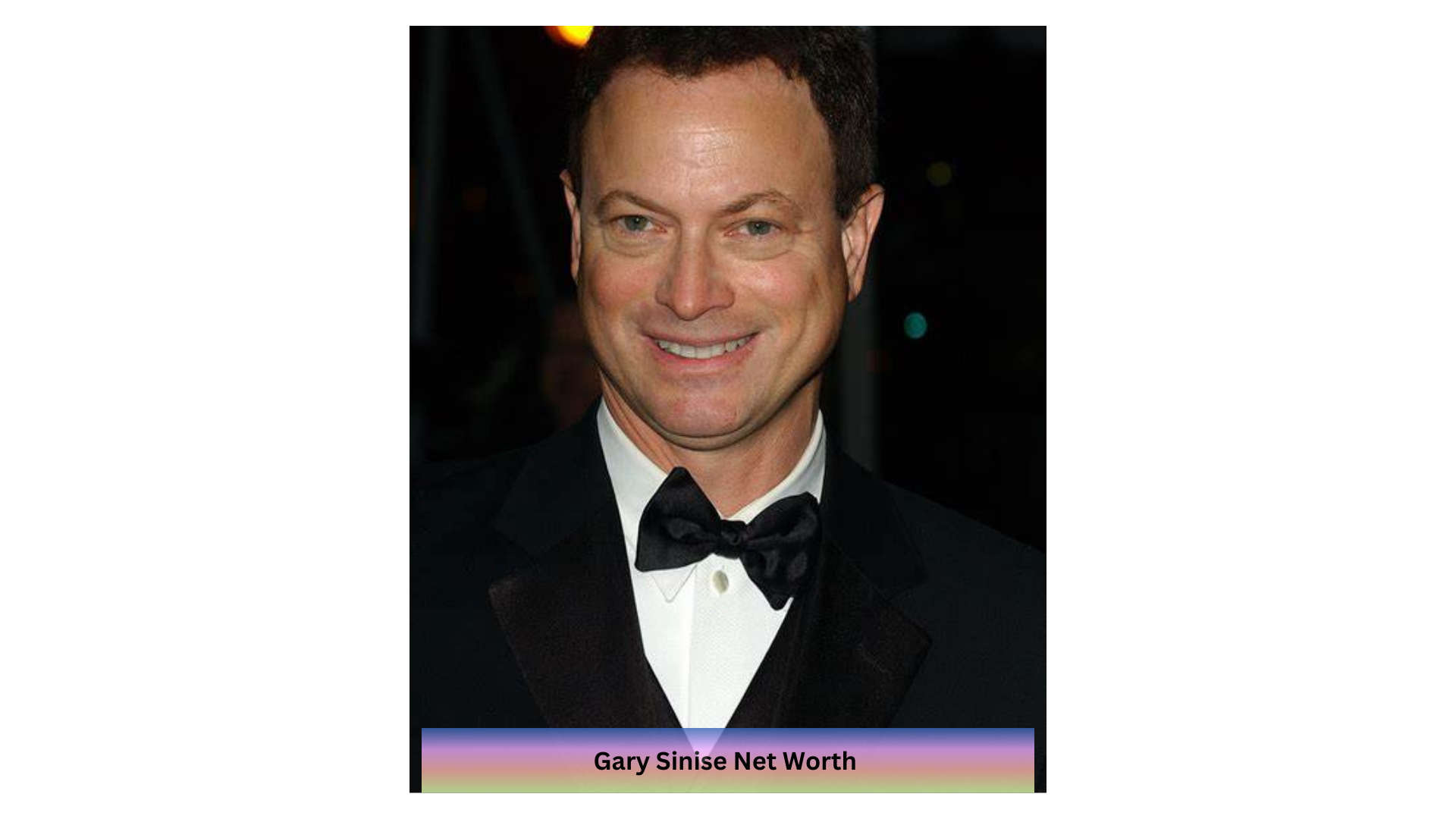 Gary Sinise Net Worth 