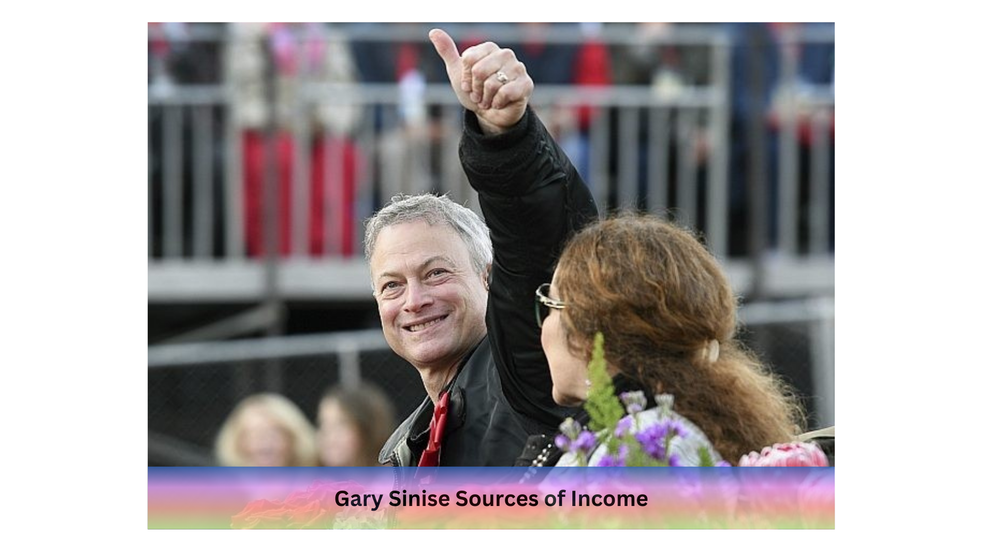 Gary Sinise Sources of Income